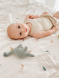 Load image into Gallery viewer, Gauze Blanket | Little Dino