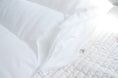 Load image into Gallery viewer, Anti Dust Mites Pillow | Tulip