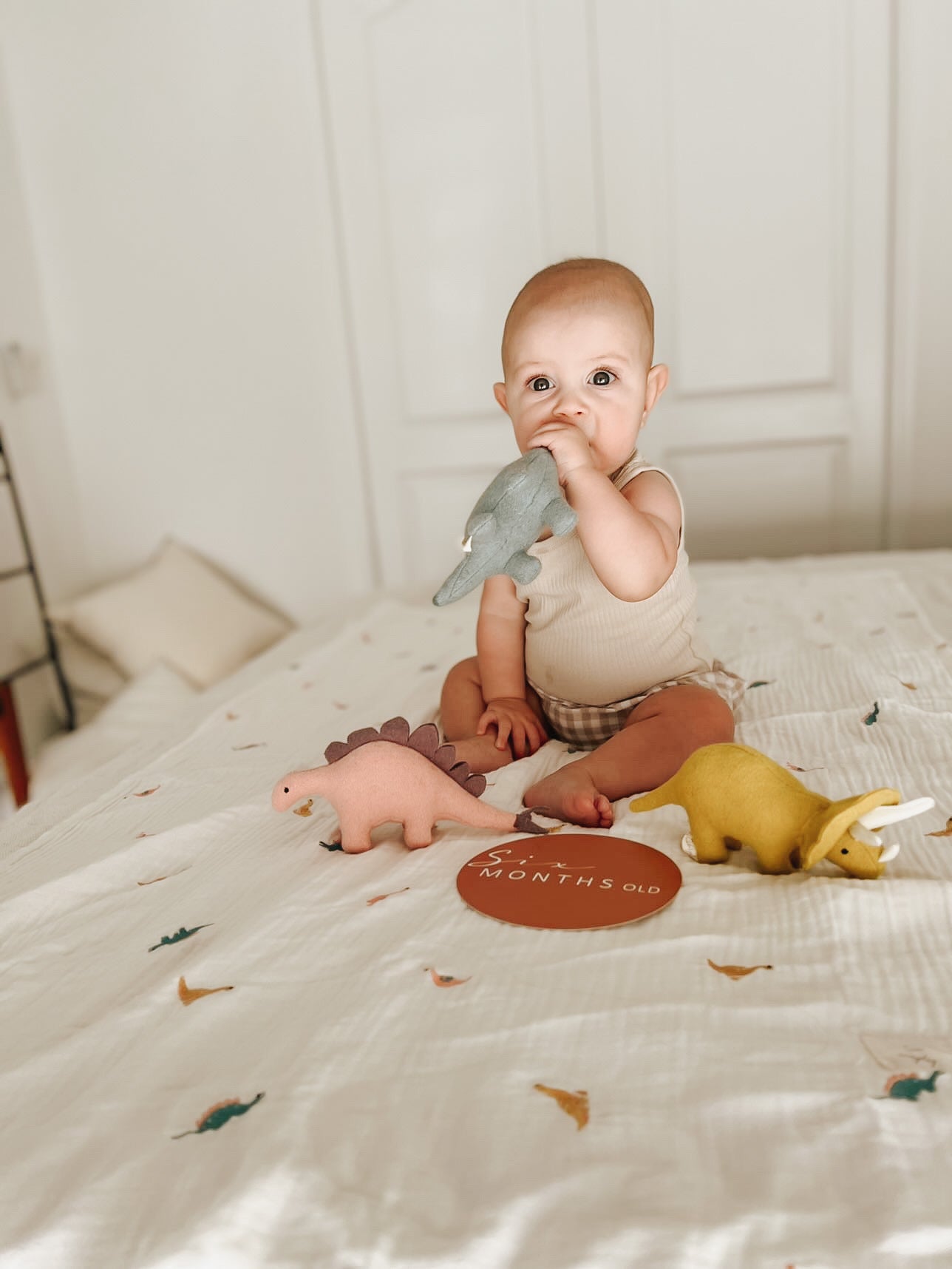 Gauze Blanket | Little Dino