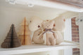 Load image into Gallery viewer, Christmas Gift | Set E- Pram Liner & Organic Doll
