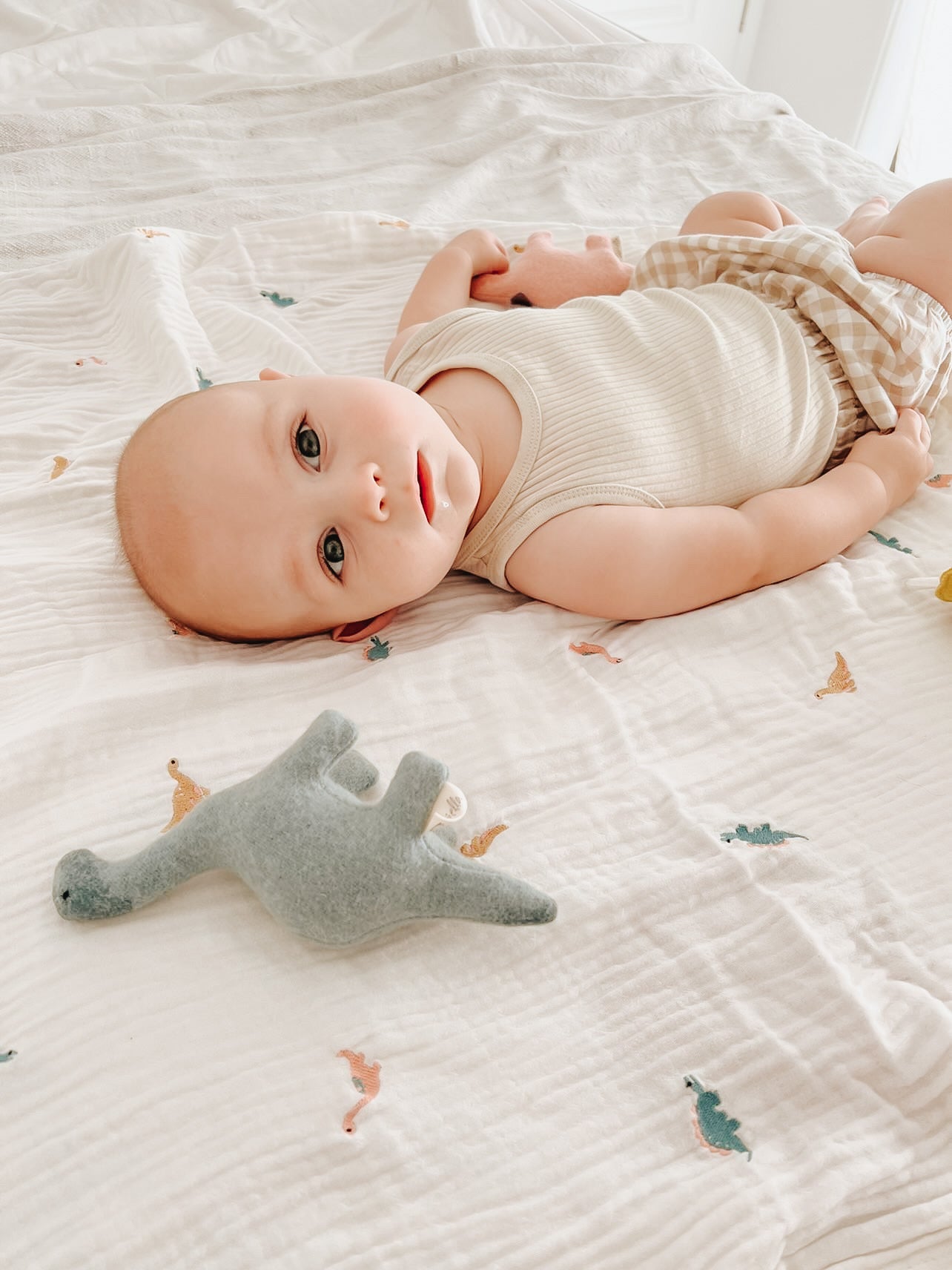Gauze Blanket | Little Dino