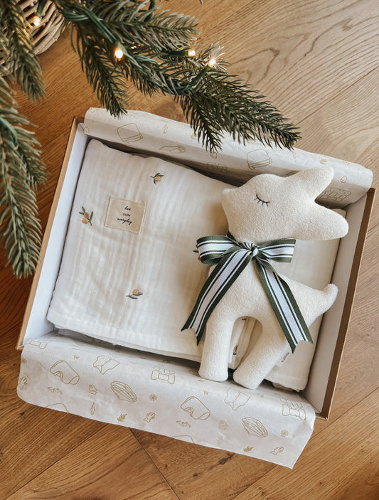 Christmas Gift | Set D-Gauze Blanket & Organic Doll