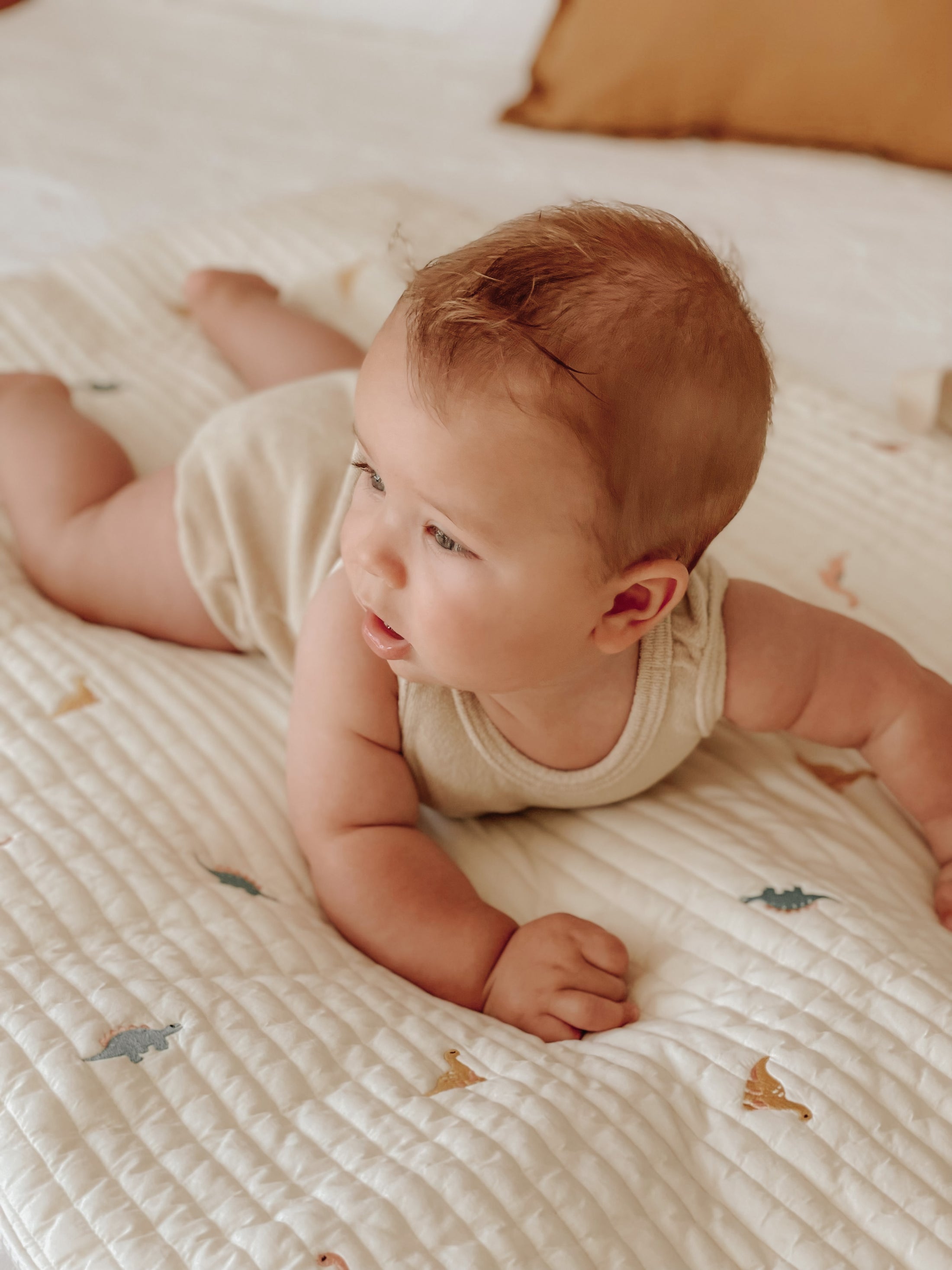 Quilted Nap Bed | Little Dino