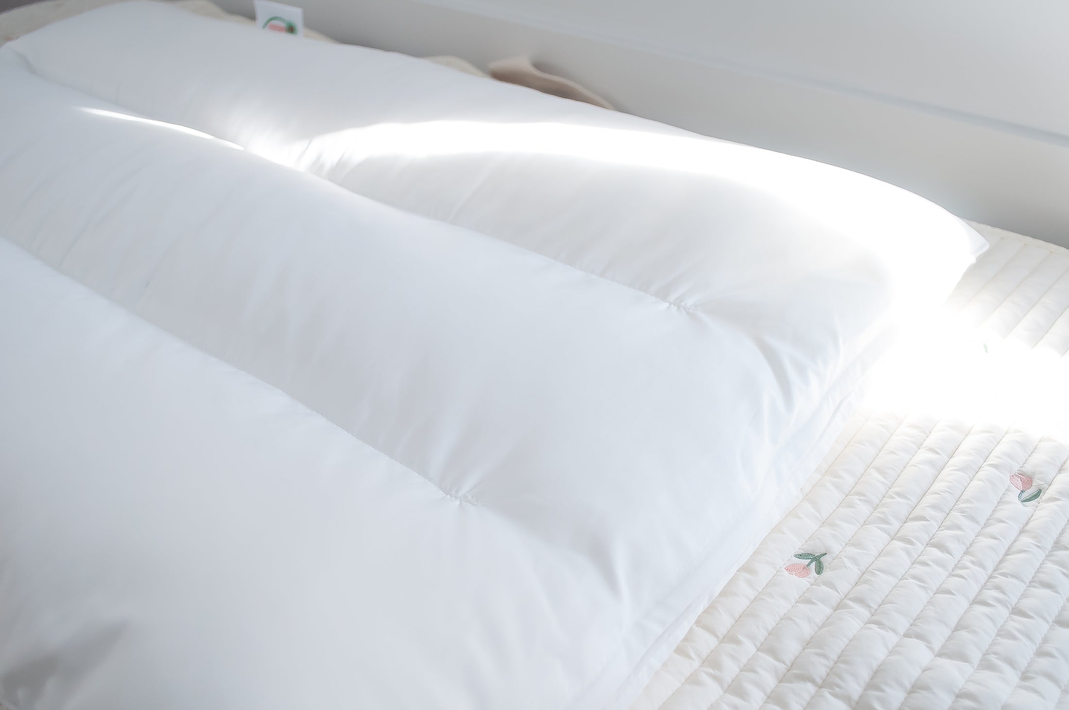 Anti Dust Mites Pillow | Tulip