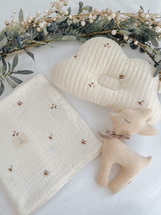 Newborn Gift | Set A- Baby cloud set